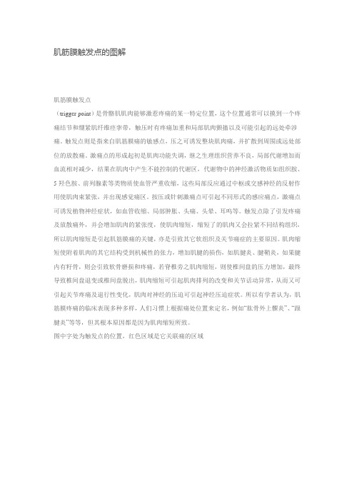 肌筋膜触发点的图解
