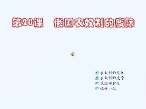 川教版历史九上《俄国农奴制的废除》课件