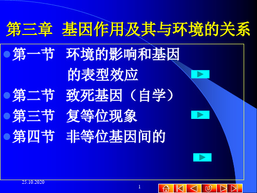 第三章基因作用及其与环境的关系精品PPT课件