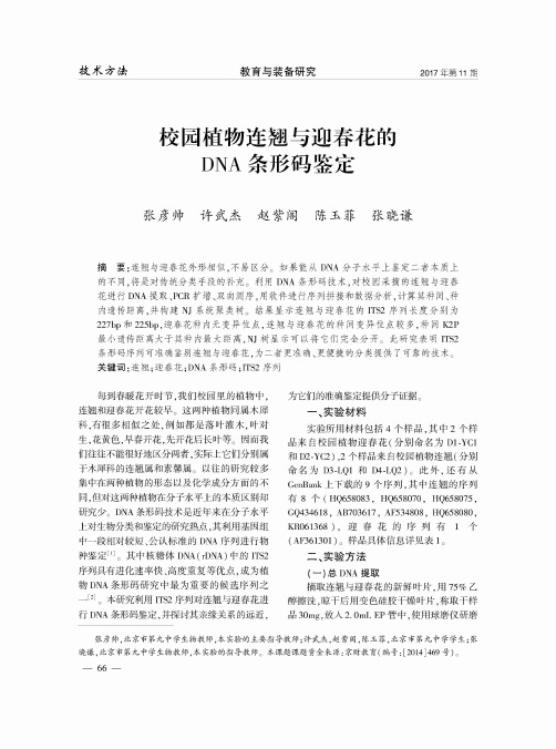 校园植物连翘与迎春花的DNA条形码鉴定