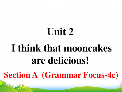 人教版九年级全一册英语Unit2 Section A Grammar Focus4c(46张PPT)