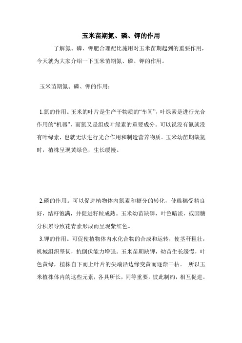 玉米苗期氮、磷、钾的作用