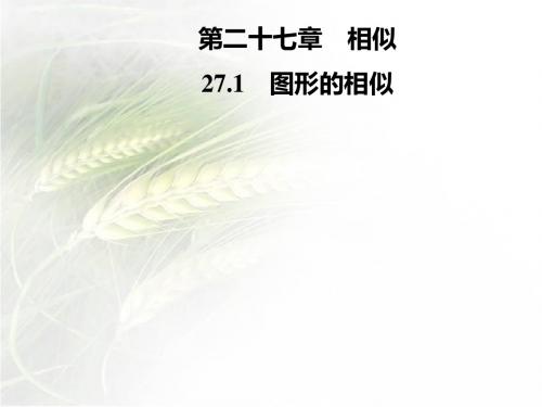 人教版九年级数学下册第二十七章27.1 图形的相似