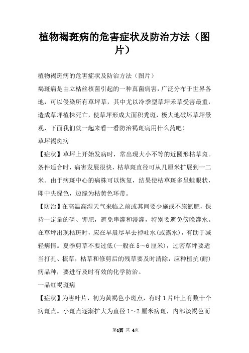 植物褐斑病的危害症状及防治方法（图片）