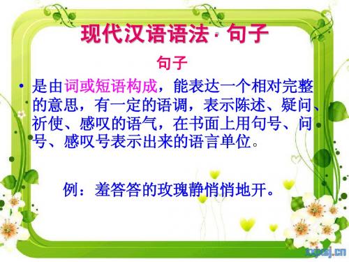 现代汉语语法 · 句