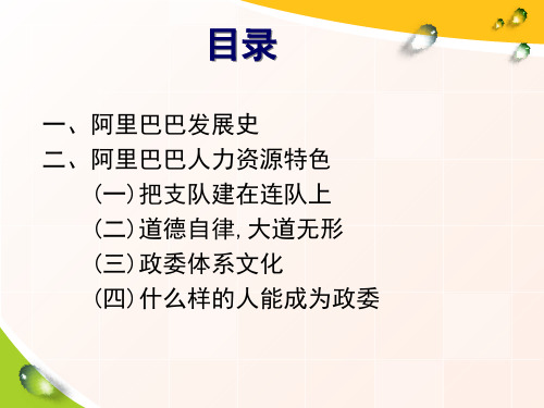 阿里巴巴人力资源管理共15页文档