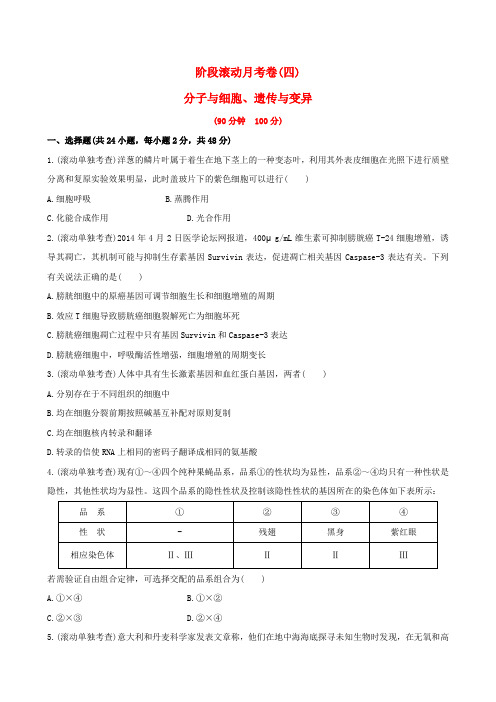 2017版高考生物一轮复习 阶段滚动月考卷(四)分子与细胞、遗传与变异