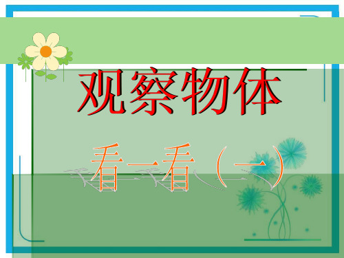 北师大版一年级下册数学优秀课件-2.1《观察物体 看一看(一)》(共29张PPT).pptx