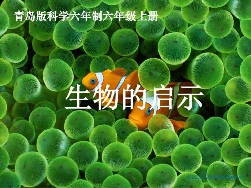 最新科学生物的启示优质课课件 (1)