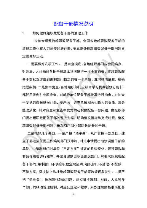配备干部情况说明