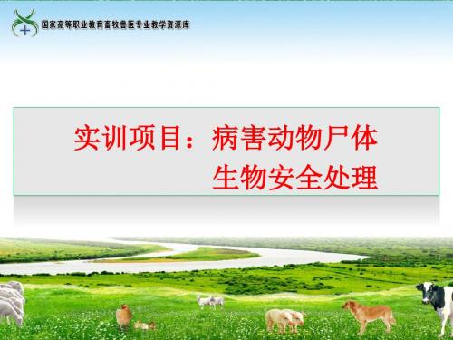 实训7病害动物尸体生物安全处理(精)