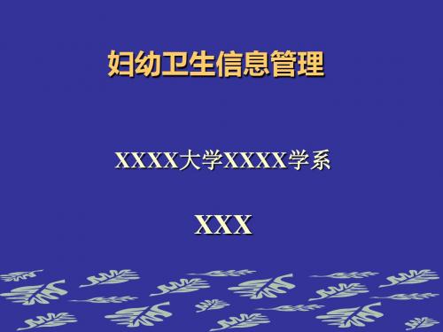 妇幼卫生信息管理PPT模板