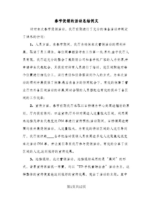 春节促销的活动总结例文(6篇)