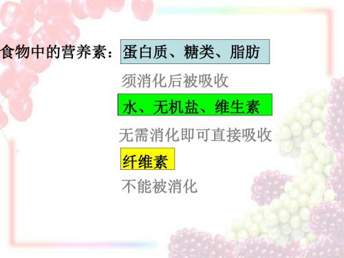4.2食物的消化与吸收-酶(第二课时)