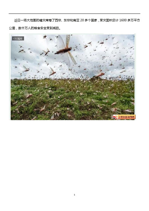 高考地理热点：地理学科视角下的东非蝗灾