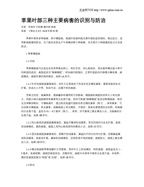 苹果叶部三种主要病害的识别与防治