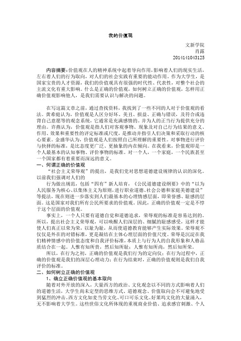 马原论文_我的价值观