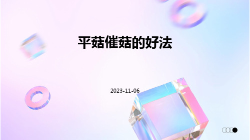 平菇催菇的好法