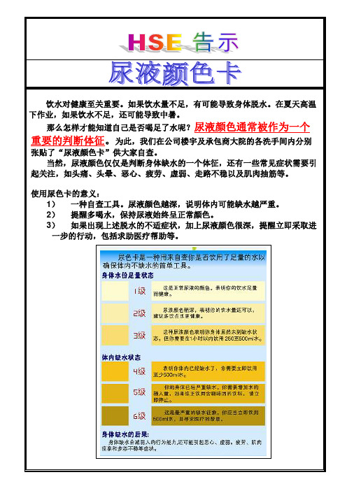 尿液颜色卡