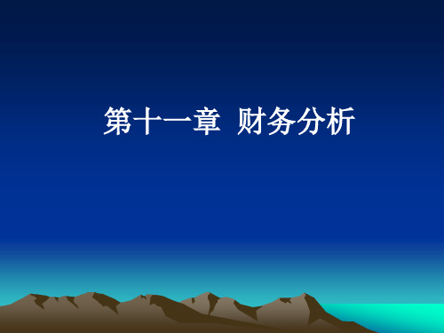 第十一章 财务分析