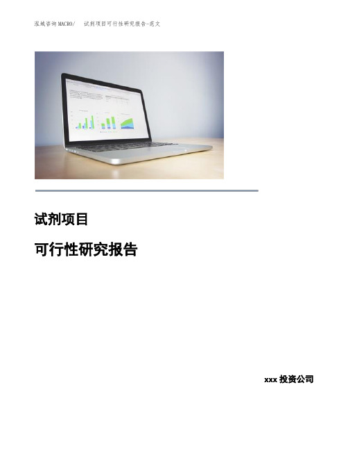 试剂项目可行性研究报告-范文