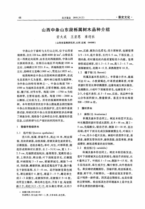 山西中条山东段栎属树木品种介绍