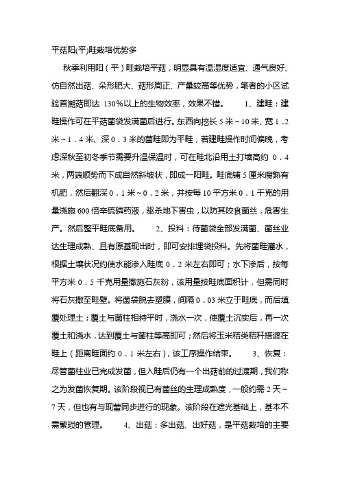 平菇阳(平)畦栽培优势多