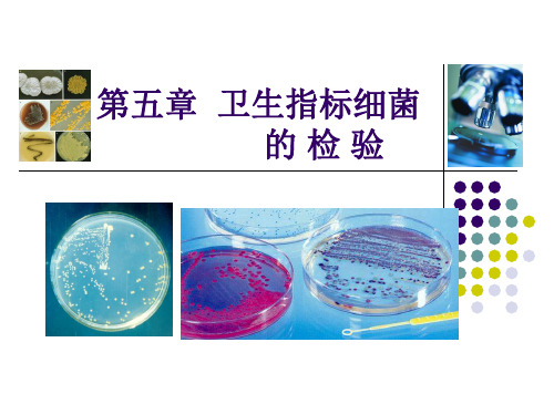 第五章 卫生指标菌的检测OKPPT课件