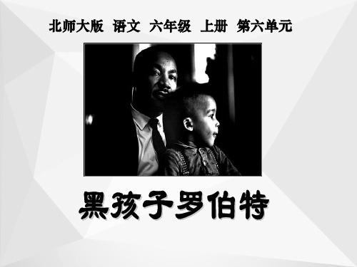 北师大版六年级语文上册《黑孩子罗伯特》公开课课件