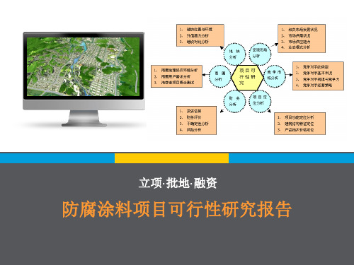 防腐涂料项目可行研究报告(写作大纲)