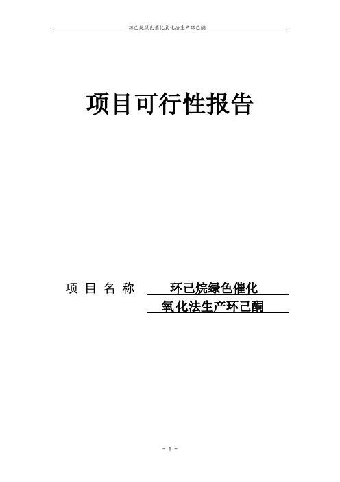 环己烷绿色催化氧化法生产环己酮可行性研究报告书
