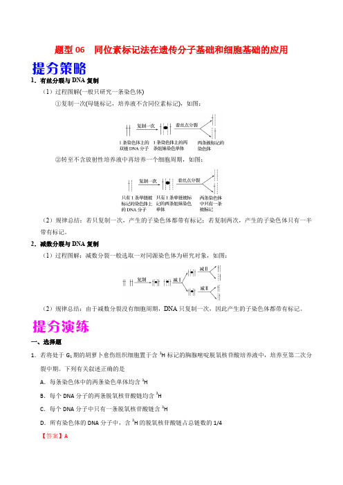2020年高考生物提分策略题型06 同位素标记法在遗传分子基础和细胞基础的应用(含答案解析)