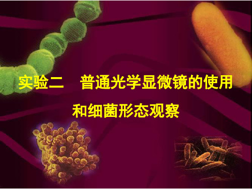 实验二普通显微镜的使用及细菌形态观察