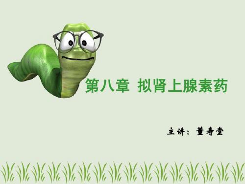 第八章 拟肾上腺素药
