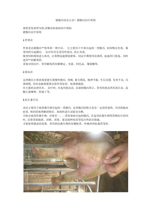 猪腹泻该怎么治？猪腹泻治疗原则