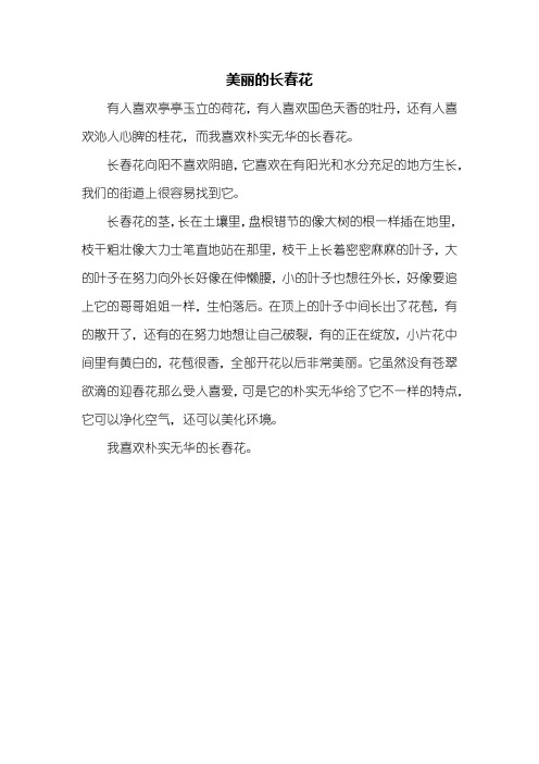 四年级作文：美丽的长春花作文300字
