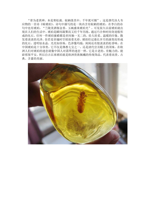 琥珀蜜蜡-千万年前的化石