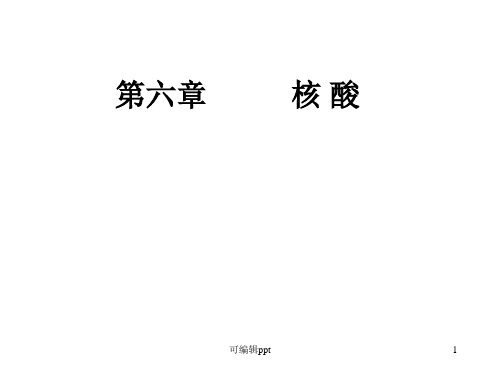 王镜岩生化课件06核酸