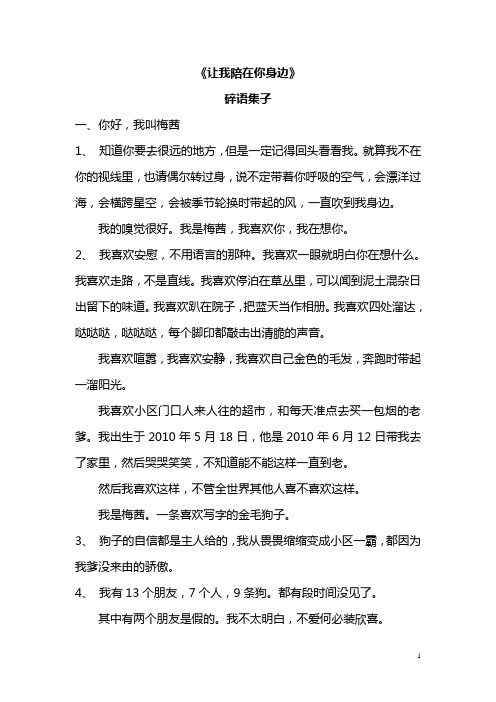 《让我陪在你身边》最美句子