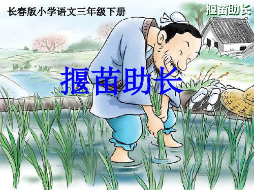  揠苗助长∣人教(部编版)