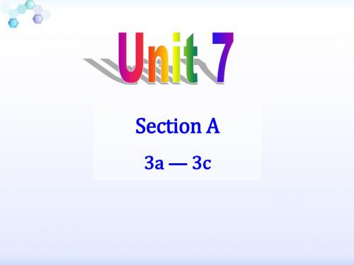 人教新目标九年级英语全册 Unit 7 Section A (3a-4c)