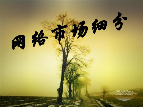 网络市场细分