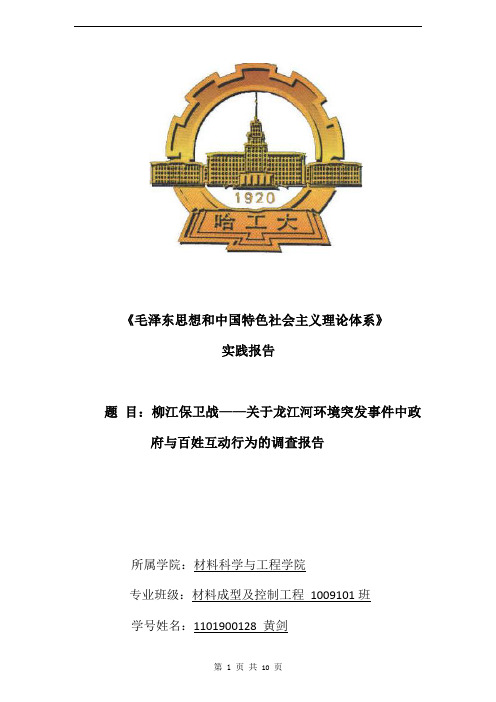 柳江保卫战——对于龙江河突发环境事件中政府与百姓互动行为的调查报告