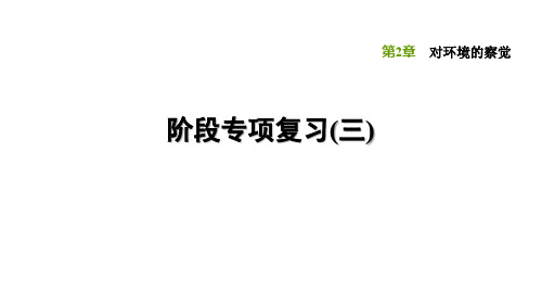 浙教版科学七下第2章对环境的察觉同步练习课件阶段专项复习(三)