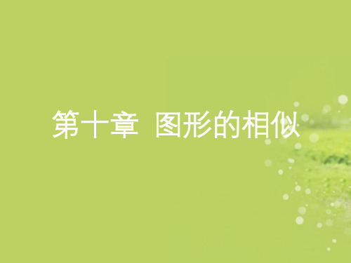 江苏省昆山市兵希中学八年级数学下册 10.1 图形的相似课件 苏科版