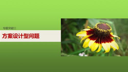 专题突破三  方案设计型问题
