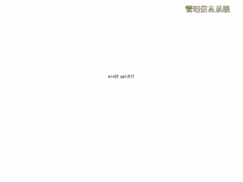 mis02 ppt课件