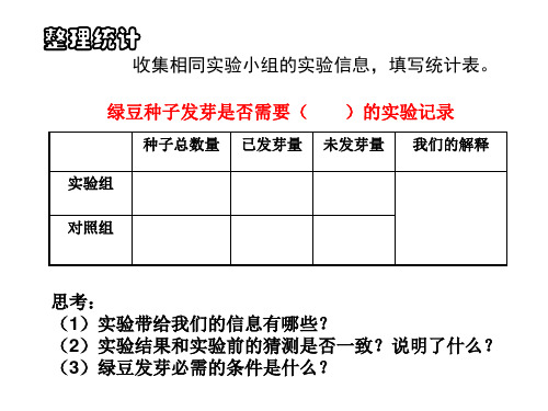种子发芽实验(二)以及观察绿豆芽的生长