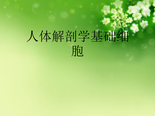 人体解剖学基础细胞优秀课件