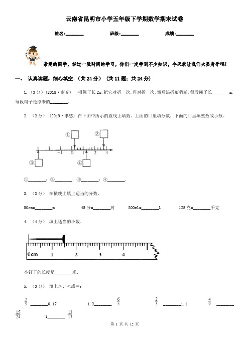 云南省昆明市小学五年级下学期数学期末试卷